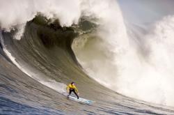 开云体育官网-西决生死战之夜，巴尔韦德的艺术人生