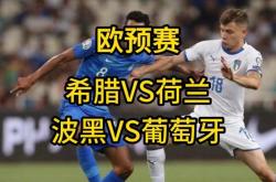 开云体育登录-斯洛伐克遗憾败给波黑，欧预赛反思之战的简单介绍