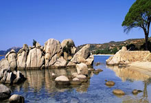 开云APP-罗马队在最近一场比赛中以惊人表现获得胜利