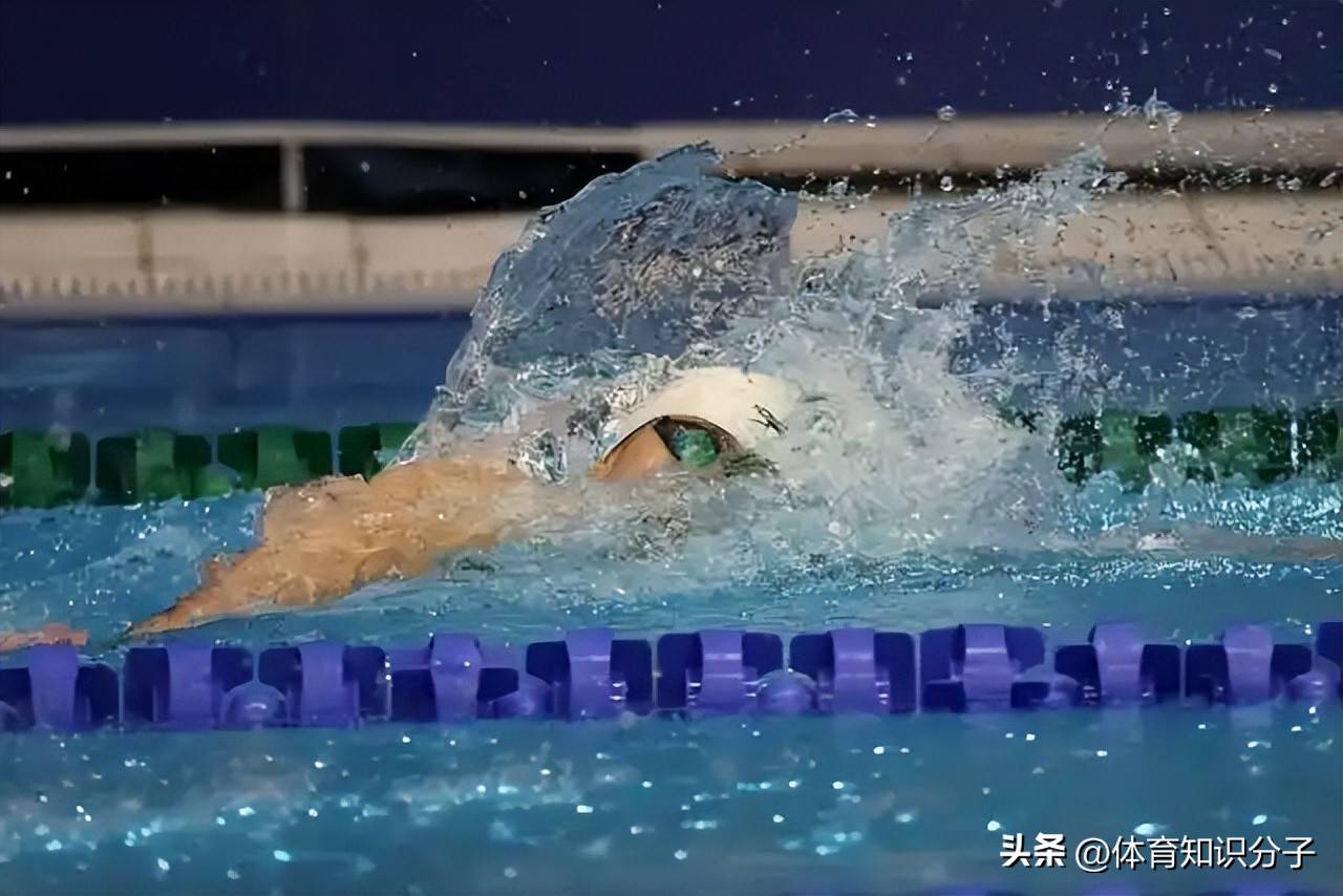 美国游泳选手表现强势，夺冠无疑