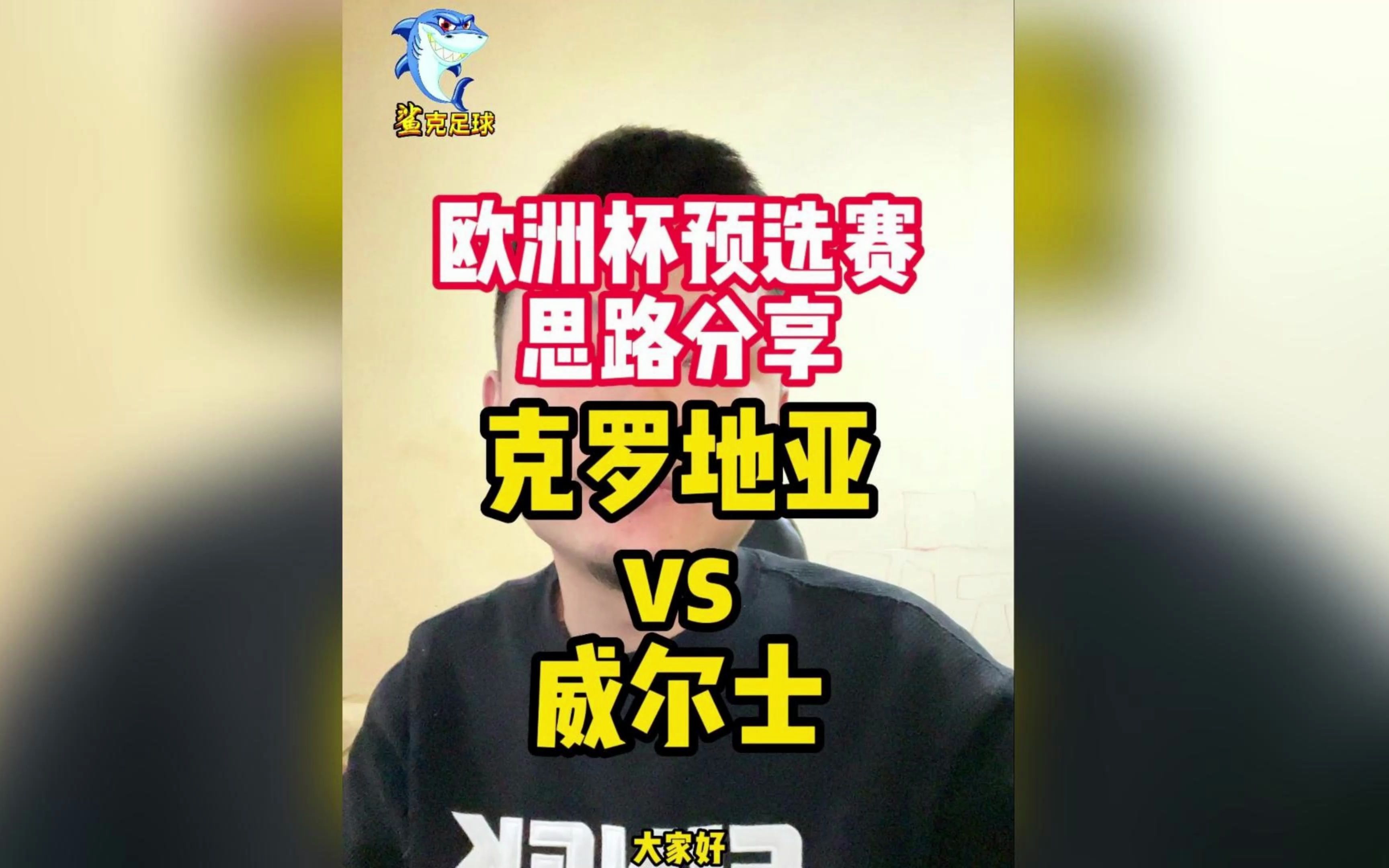 克罗地亚不敌瑞典，遗憾无缘欧预赛淘汰赛