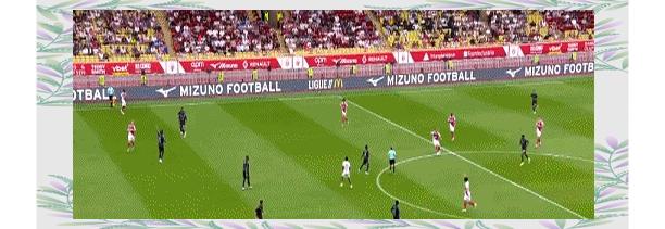 摩纳哥客场战胜梅斯,继续保持胜利势头 摩纳哥客场战胜梅斯,继续保持胜利势头