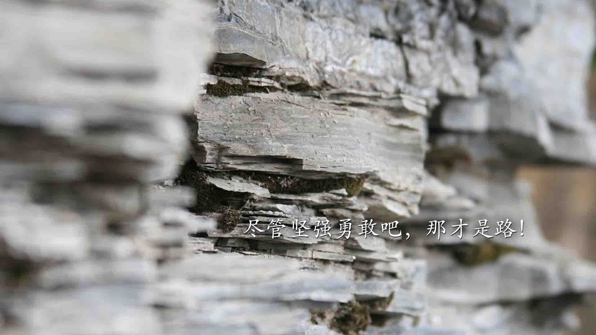 小贾伦在焦点战的答案，新疆队终结广厦