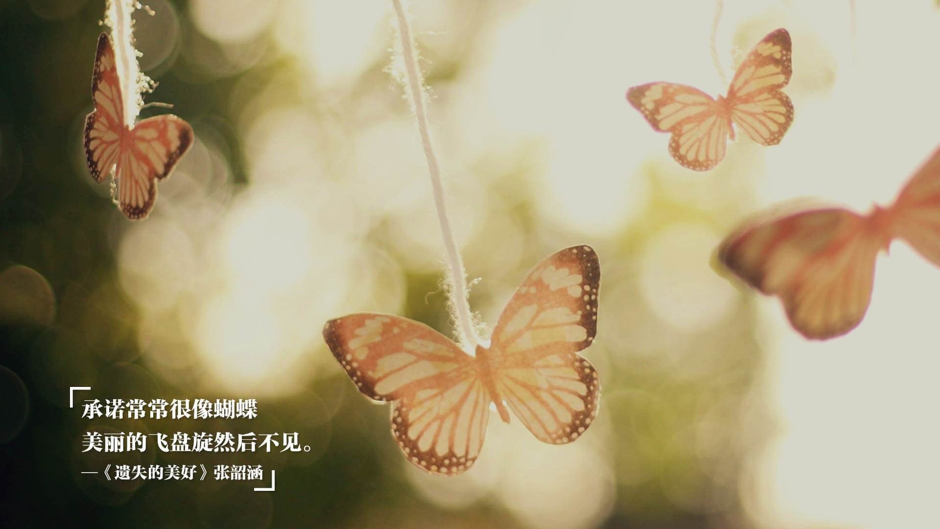 体育悬念的生死美学，从德甲争冠战的窒息时刻到伊朗终结卡塔尔之梦