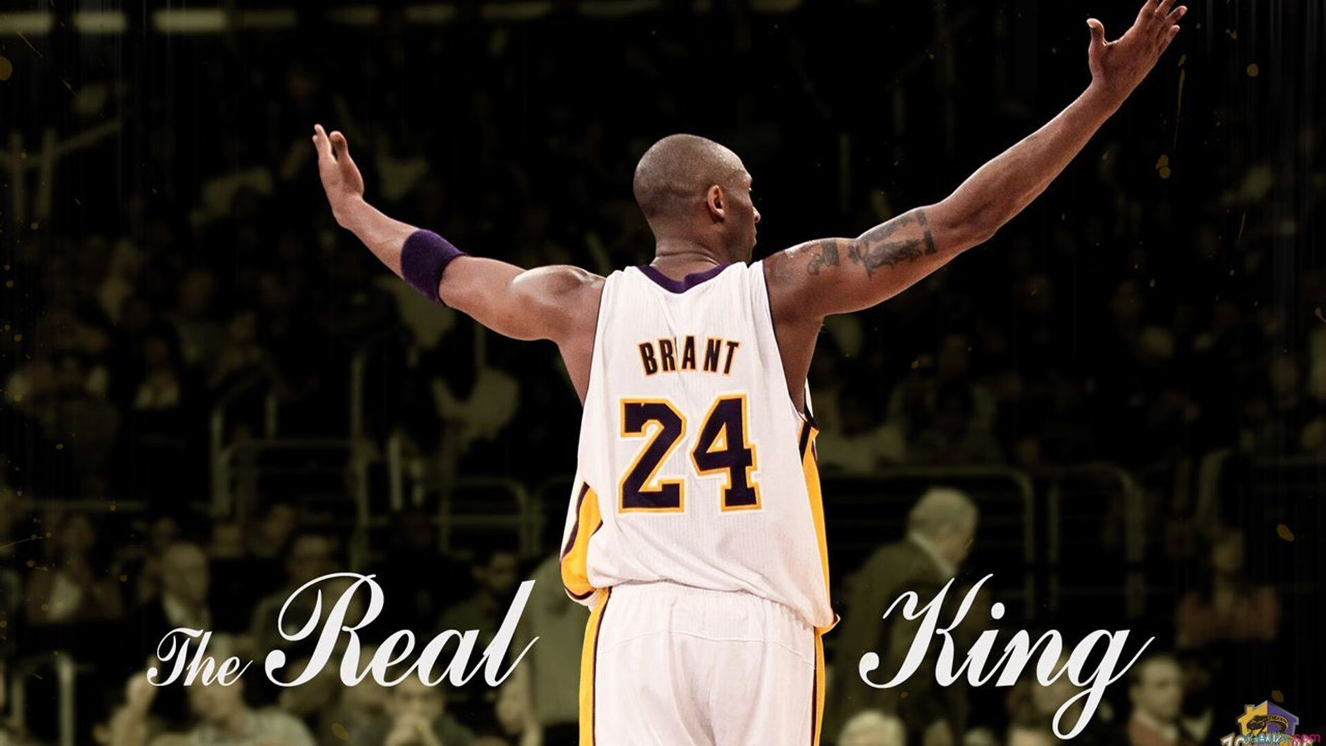 F1赛道轰鸣之夜,那间包厢里卢卡库的静默庆典